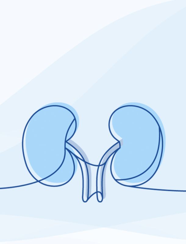 Illustration einer Niere in blau 